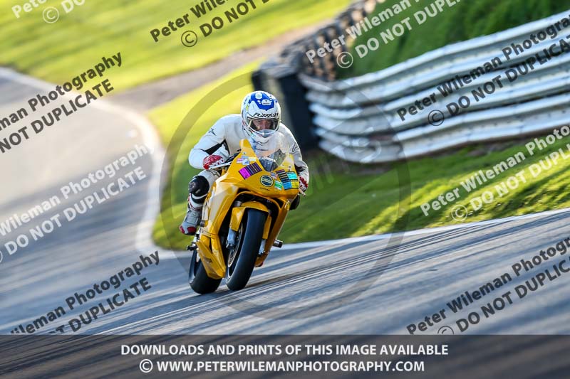 Oulton Park 20th March 2020;PJ Motorsport Photography 2020;anglesey;brands hatch;cadwell park;croft;donington park;enduro digital images;event digital images;eventdigitalimages;mallory;no limits;oulton park;peter wileman photography;racing digital images;silverstone;snetterton;trackday digital images;trackday photos;vmcc banbury run;welsh 2 day enduro